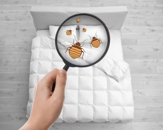 Dedetização para Percevejo de Cama Funciona em Jaú